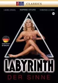 Лабиринт Чувств